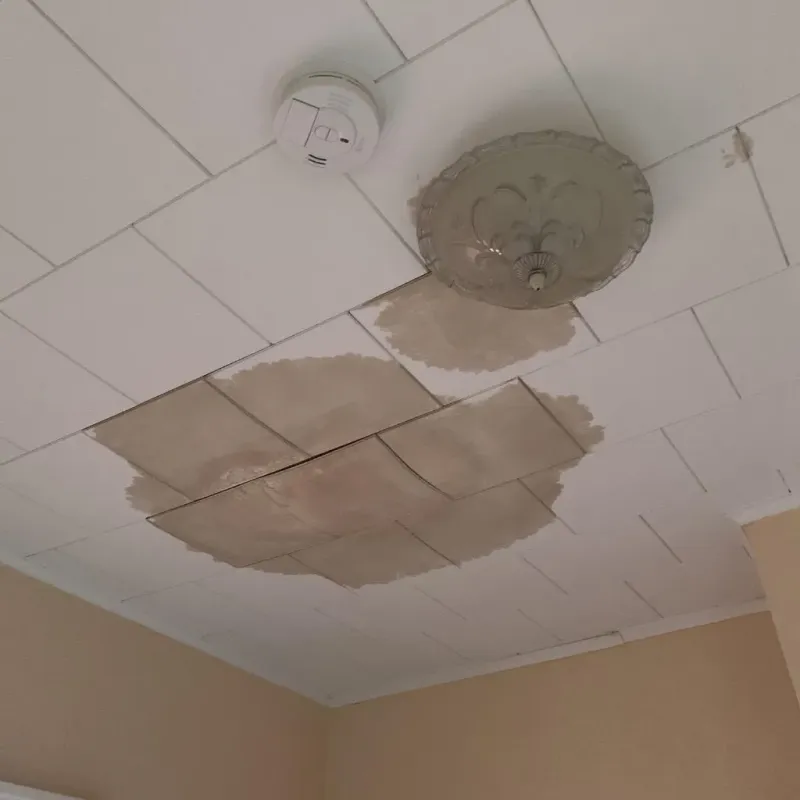 Ceiling Water Damage Repair in Oconto Falls, WI