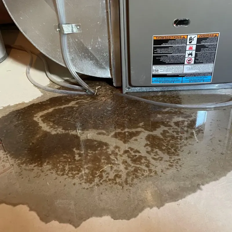 Pipe Burst and Leak Restoration in Oconto Falls, WI