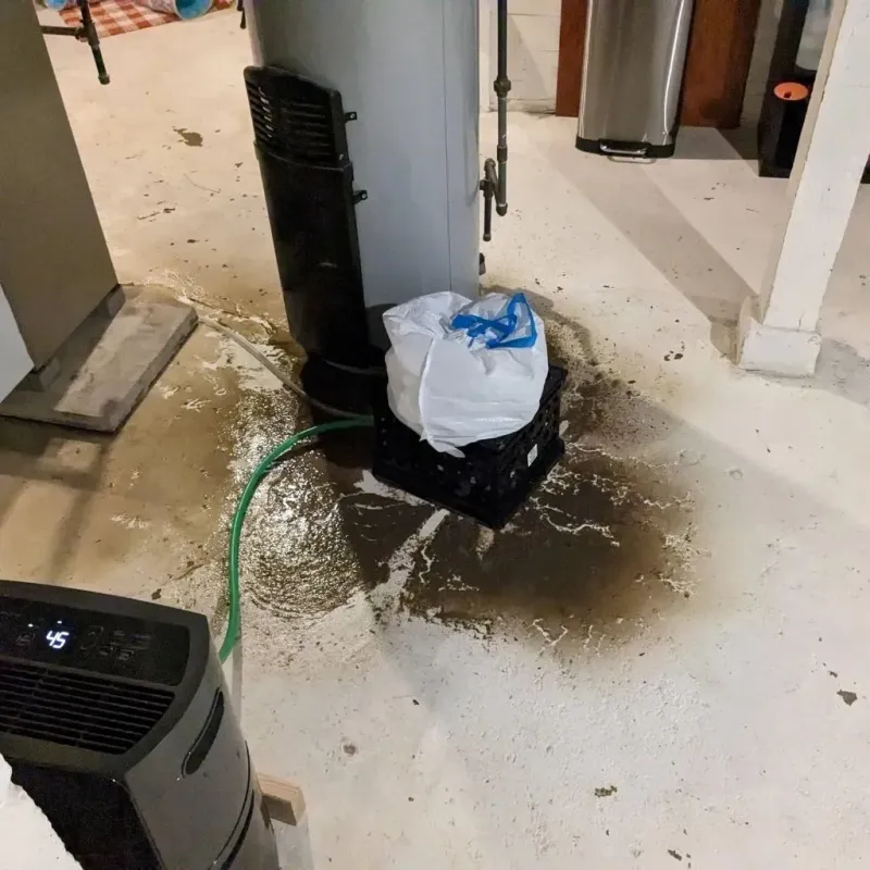 Sewage Backup Cleanup Service in Oconto Falls, WI